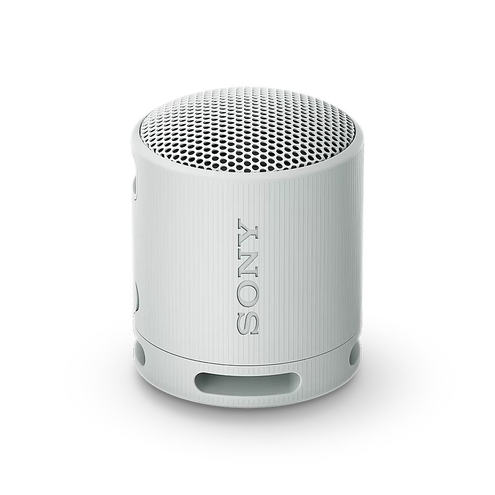 Sony SRS-XB100 Portable Wireless Speaker Light Gray